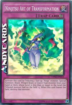ARTE DELLA TRASFORMAZIONE NINJITSU