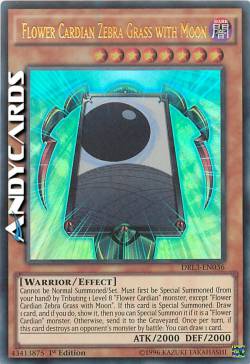 FIORE CARDIAN ERBA DELLA ZEBRA CON LA LUNA