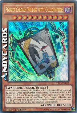 FIORE CARDIAN SALICE CON CALLIGRAFO