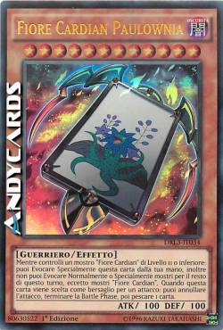 FIORE CARDIAN PAULOWNIA