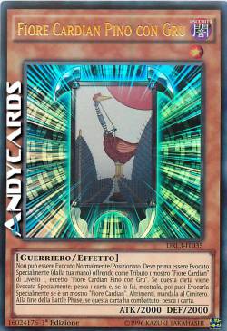 FIORE CARDIAN PINO CON GRU