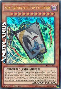 FIORE CARDIAN SALICE CON CALLIGRAFO