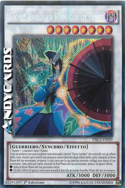 FIORE CARDIAN PIOGGIA DI LUCE