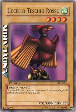 UCCELLO TESCHIO ROSSO