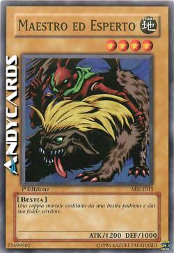 MAESTRO ED ESPERTO