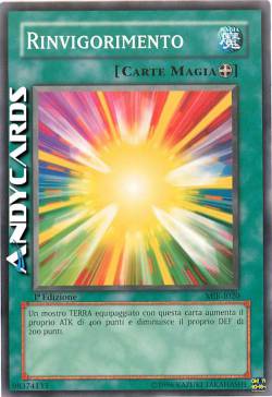 RINVIGORIMENTO