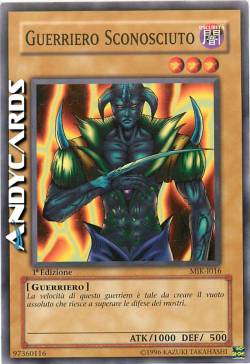 GUERRIERO SCONOSCIUTO
