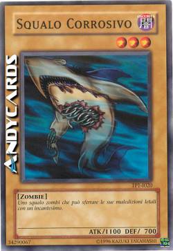 SQUALO CORROSIVO