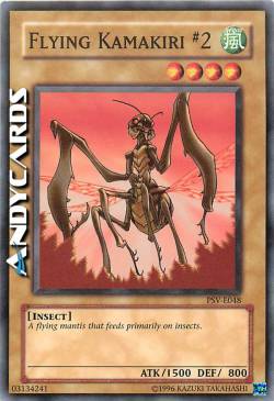 KAMAKIRI VOLANTE #2
