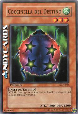 COCCINELLA DEL DESTINO