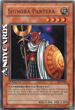 SIGNORA PANTERA