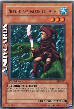 PICCOLO SPADACCINO DI AILE