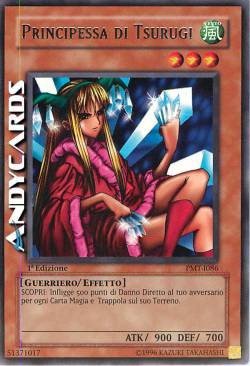 PRINCIPESSA DI TSURUGI