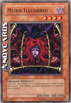 MURO ILLUSORIO