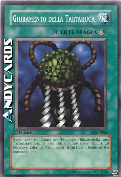 GIURAMENTO DELLA TARTARUGA