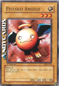 PICCOLO ANGELO