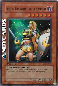 SIGNORA COMBATTENTE DELLA PENOMBRA