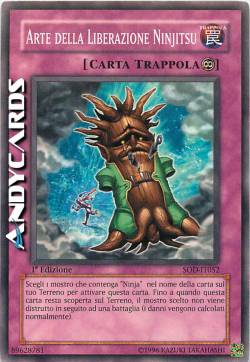 ARTE DELLA LIBERAZIONE NINJITSU
