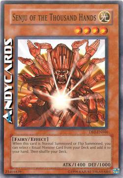 SENJU DALLE 1000 MANI