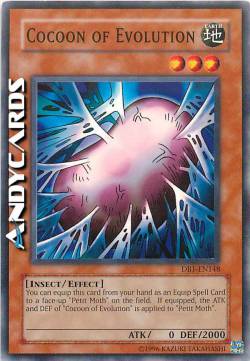 BOZZOLO DELL'EVOLUZIONE