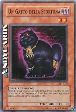 UN GATTO DELLA SFORTUNA