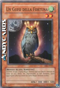 UN GUFO DELLA FORTUNA
