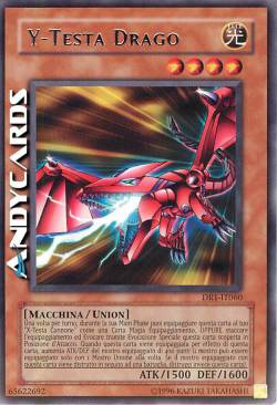 Y-TESTA DRAGO