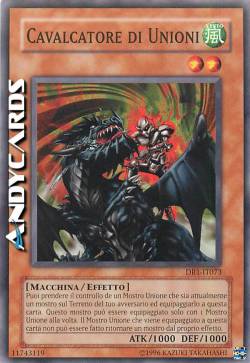 CAVALCATORE DI UNIONI