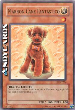 OUTSTANDING DOG MARRON