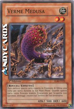VERME MEDUSA