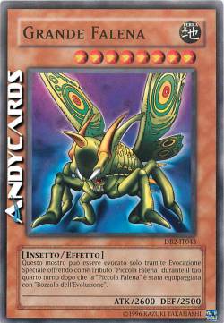 GRANDE FALENA