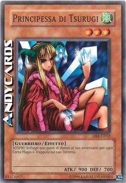 PRINCIPESSA DI TSURUGI