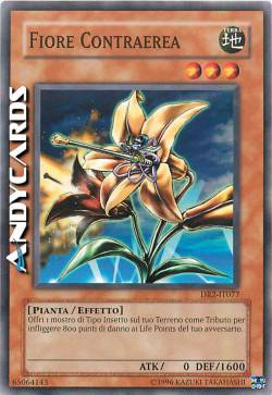 ANTI-AIRCRAFT FLOWER