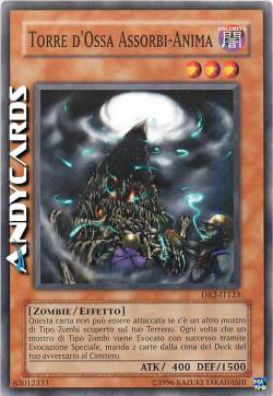 TORRE D'OSSA ASSORBI-ANIMA