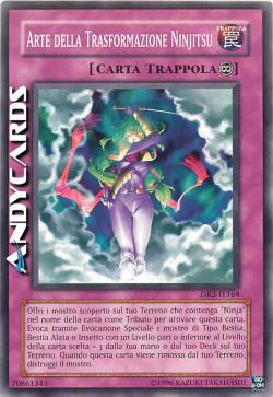 ARTE DELLA TRASFORMAZIONE NINJITSU
