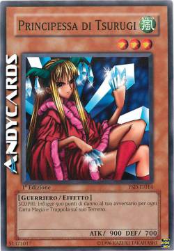 PRINCIPESSA DI TSURUGI