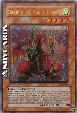 CUCCIOLO DI DRAGO DELLE ARPIE