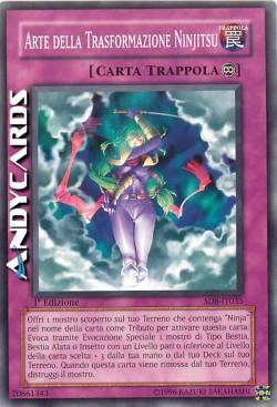 ARTE DELLA TRASFORMAZIONE NINJITSU