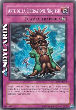 ARTE DELLA LIBERAZIONE NINJITSU