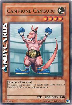 CAMPIONE CANGURO