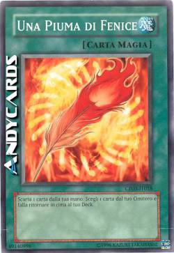 UNA PIUMA DI FENICE