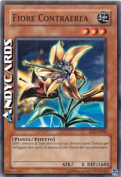 FIORE CONTRAEREA