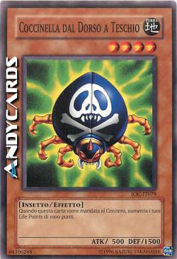 COCCINELLA DAL DORSO A TESCHIO