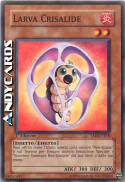 LARVA CRISALIDE