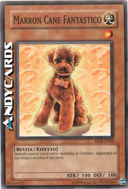 OUTSTANDING DOG MARRON