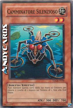 CAMMINATORE SILENZIOSO
