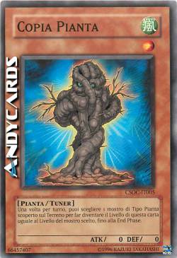 COPIA PIANTA