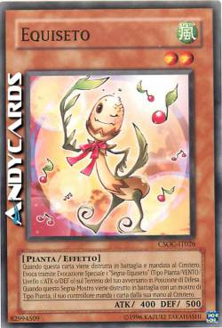 EQUISETO