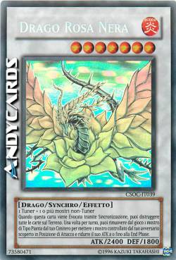 DRAGO ROSA NERA
