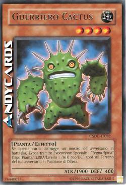 GUERRIERO CACTUS